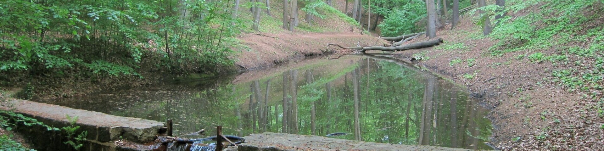 Oberer Teich der Fischmannsteiche des Eisenbornbaches in der Dresdner Heide.