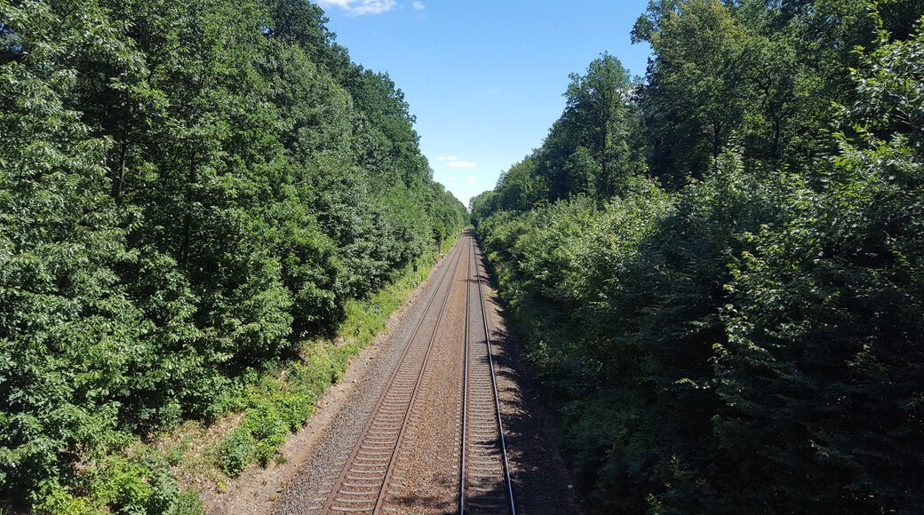 Dresdner Heide, Unterringelweg, Bahnstrecke bei Langebrück