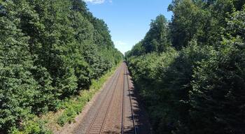 Dresdner Heide, Unterringelweg, Bahnstrecke bei Langebrück