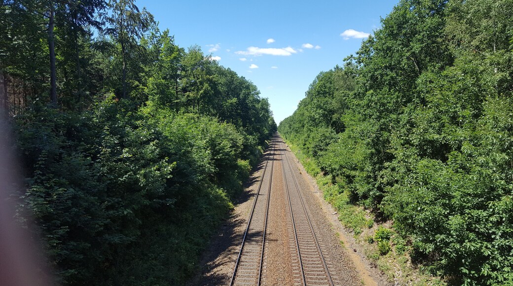 Dresdner Heide, Unterringelweg, Bahnstrecke bei Langebrück