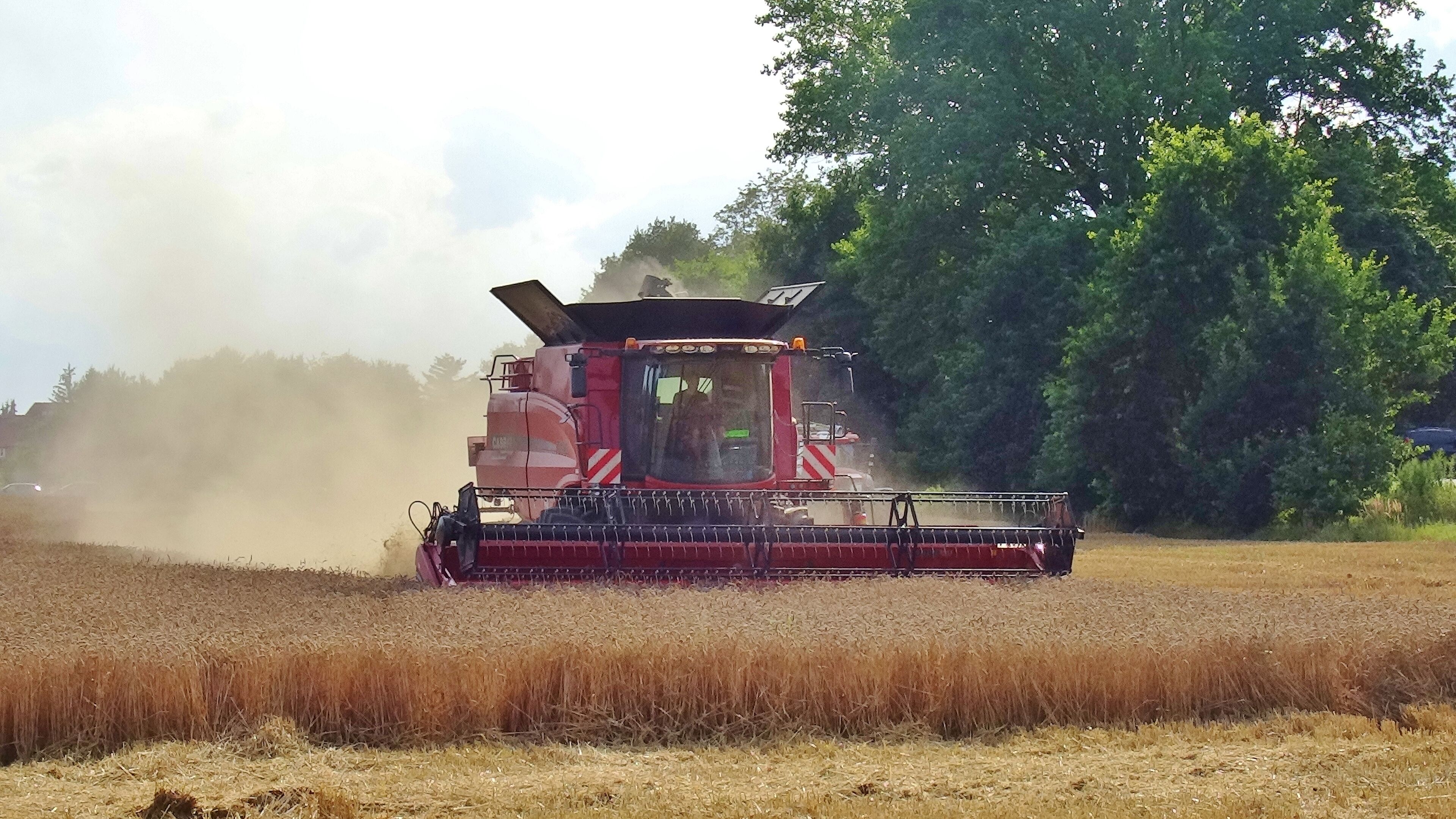 Zschieren, Dresden, Germany