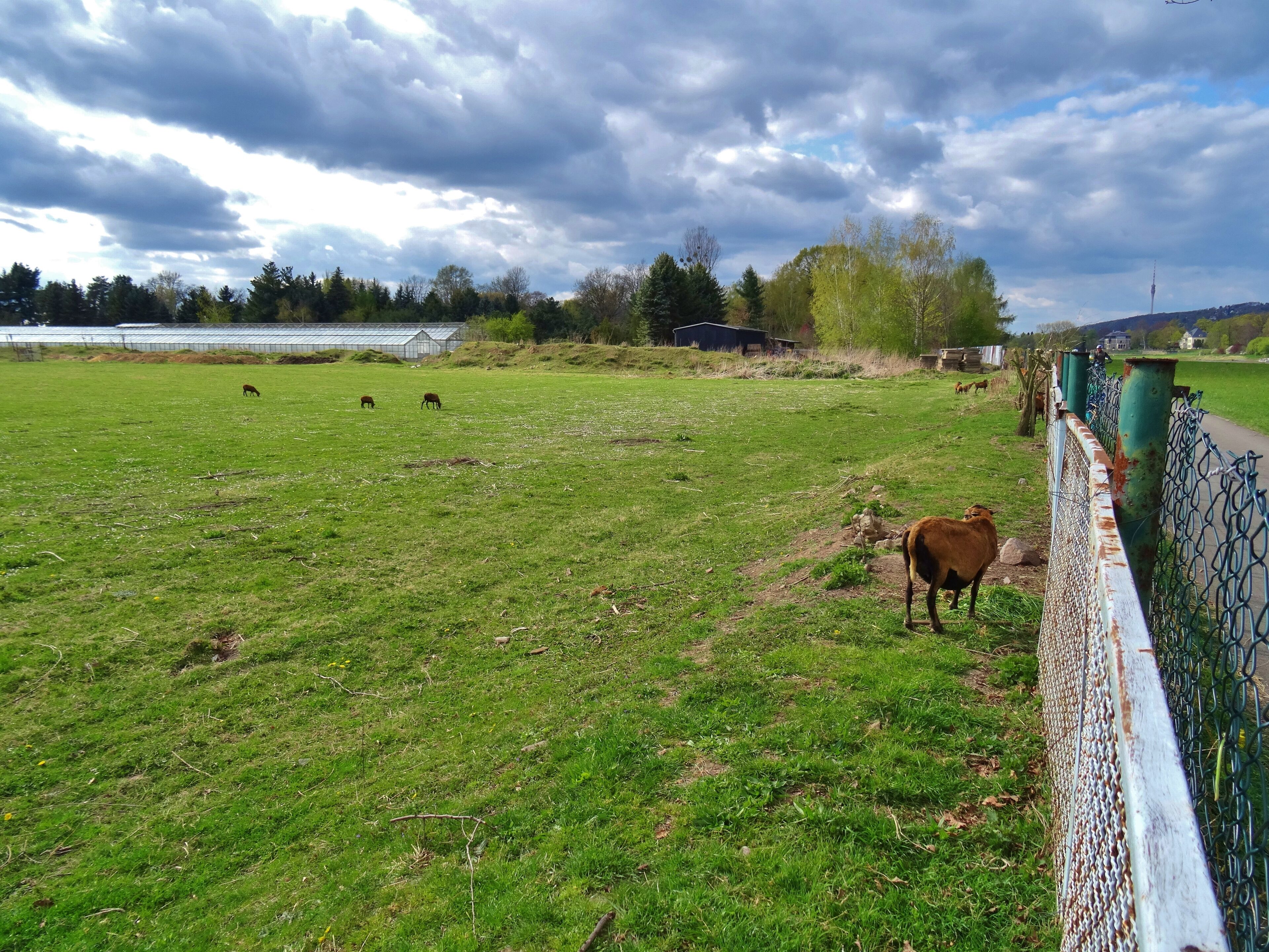 Zschieren, Dresden, Germany