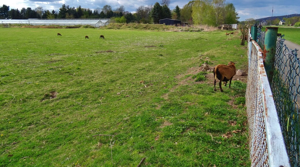 Zschieren, Dresden, Germany