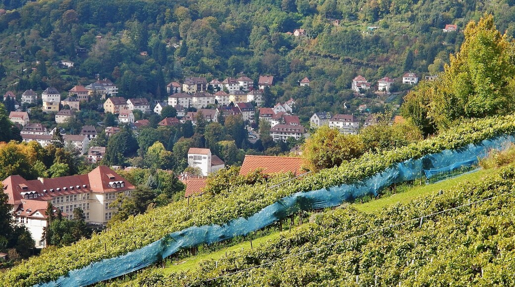 Blick Richtung Birkenkopf oder auch Monte Scherbolino