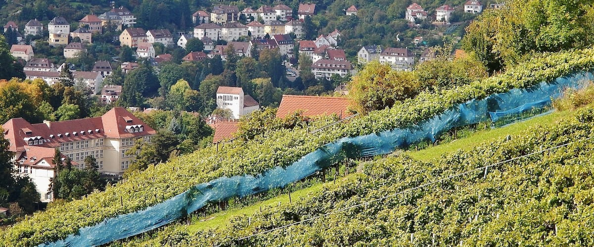 Blick Richtung Birkenkopf oder auch Monte Scherbolino