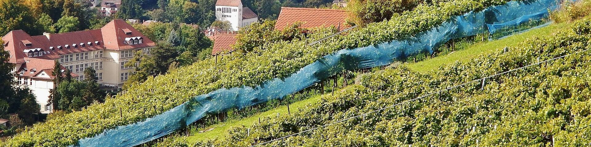 Blick Richtung Birkenkopf oder auch Monte Scherbolino
