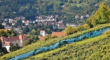 Blick Richtung Birkenkopf oder auch Monte Scherbolino