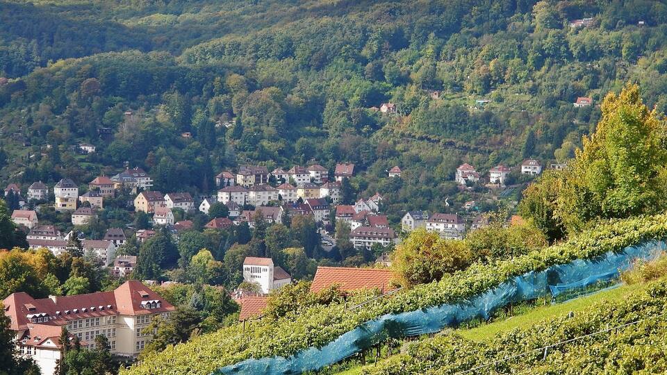 Blick Richtung Birkenkopf oder auch Monte Scherbolino
