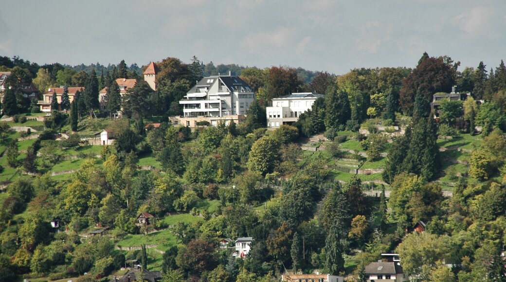 Blick Richtung Hasenbergesteige