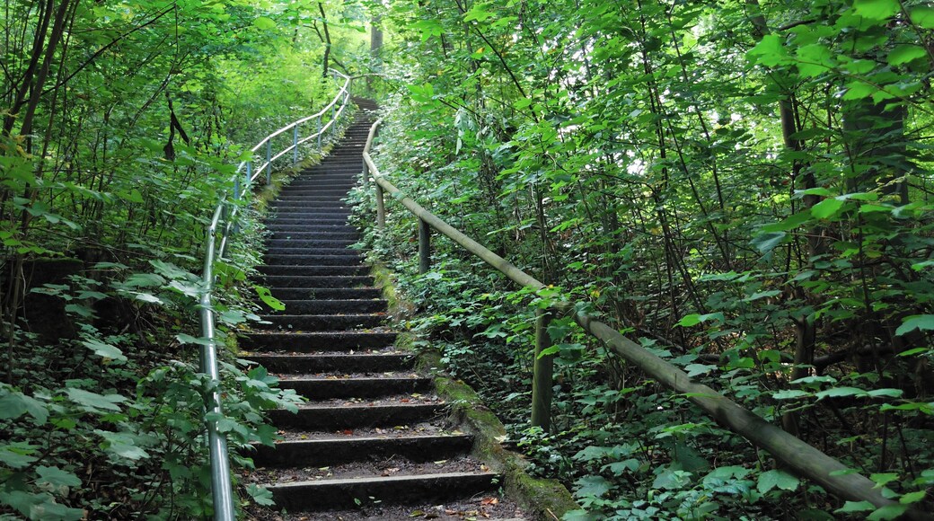 Stairs to Horn on Lemberg near Stuttgart in Germany.