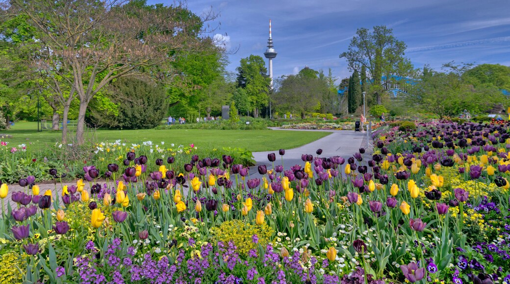 Ein Park mit verschiedenen Blumen, einem Turm und blauem Himmel.