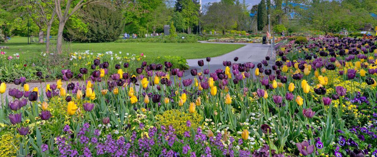 Ein Park mit verschiedenen Blumen, einem Turm und blauem Himmel.
