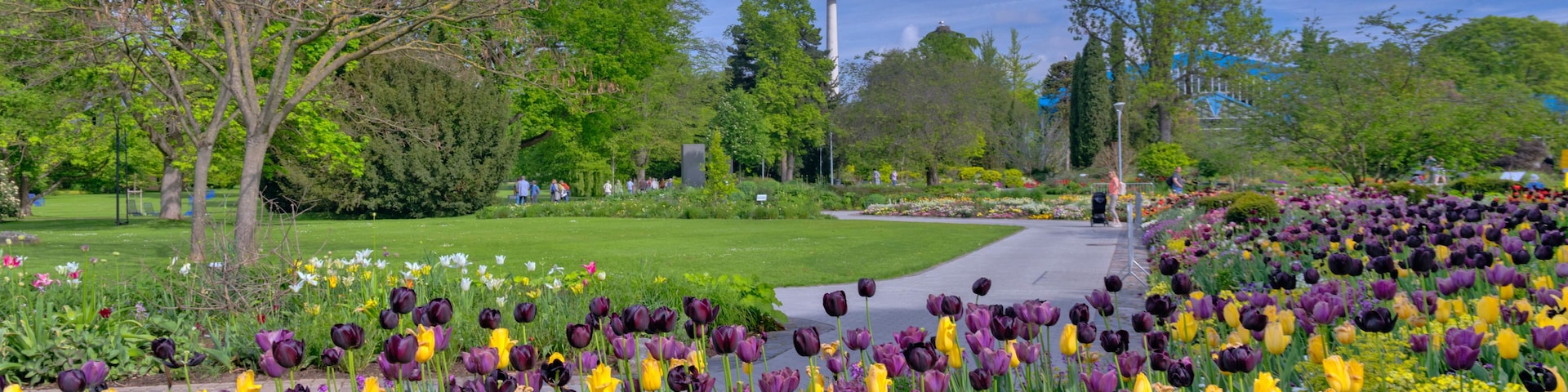 Ein Park mit verschiedenen Blumen, einem Turm und blauem Himmel.