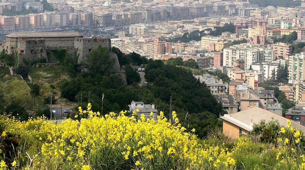 Particolare dell'image:Genova_-_Panorama_dai_Camaldoli.jpg (author Sidvics).