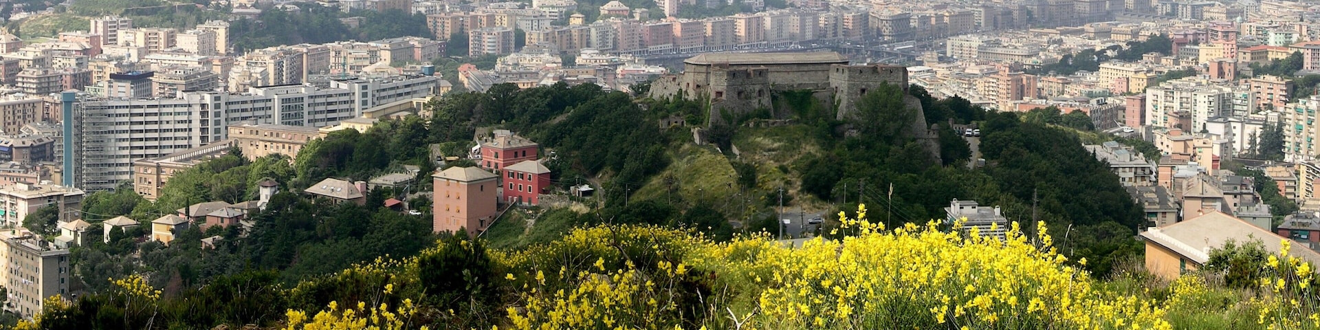 Particolare dell'image:Genova_-_Panorama_dai_Camaldoli.jpg (author Sidvics).