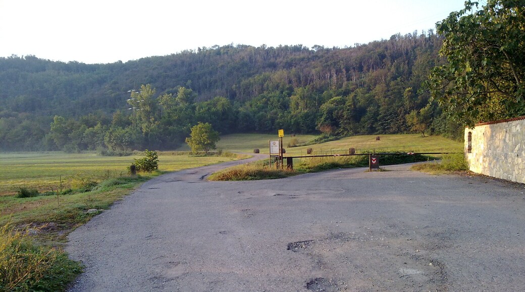 Brescia, Province of Brescia, Italy