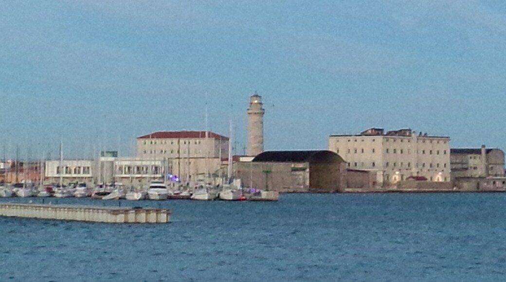 Trieste all'alba, vista dalla Stazione Marittima da cui è possibile ammirare alcuni dei luoghi di interesse: l'Acquario Marino con alle sue spalle Il Salone degli Incanti, La Lanterna (dove si trova il "Pedocin", il Castello di Miramare, Montegrisa, Il Faro, Piazza Unità d'Italia, Teatro Verdi, la Chiesa di San Nicolò, Palazzo Carciotti, Canal Grande e òa statua di Nazario Sauro.