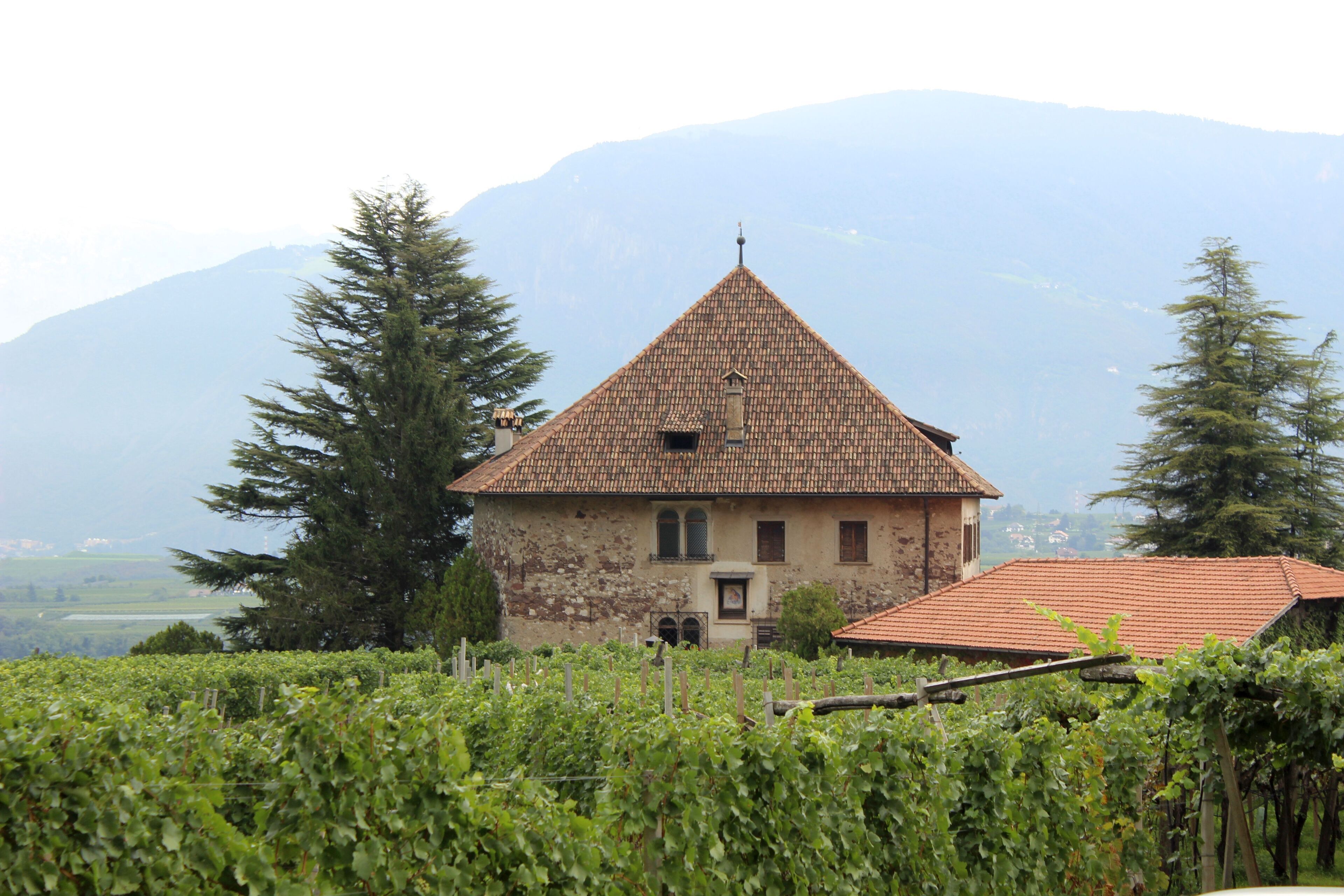 Ansitz Vintschger in Eppan