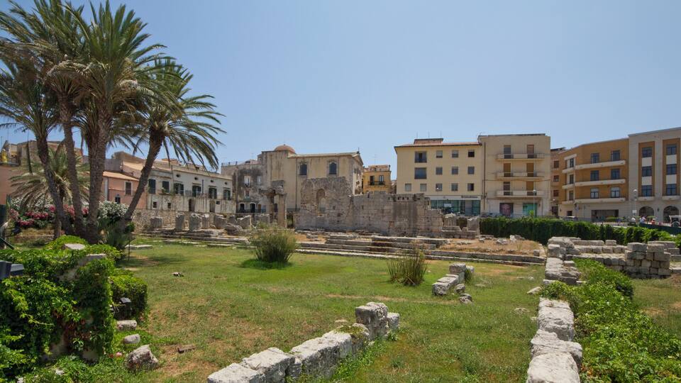 Ancient ruins with palm trees and modern buildings in the background.