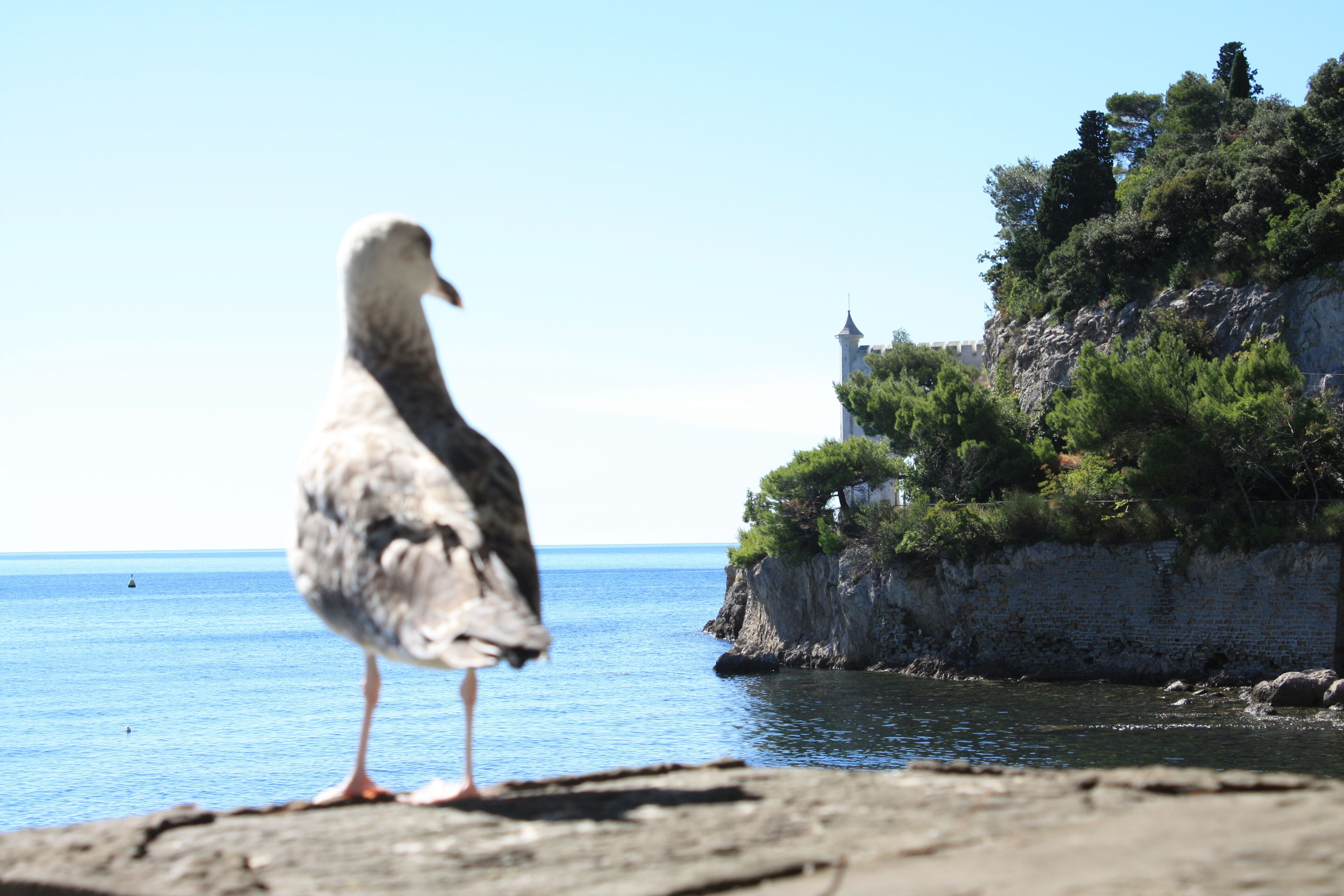 Castello di Miramare - Entrance Gate, Trieste (IT)