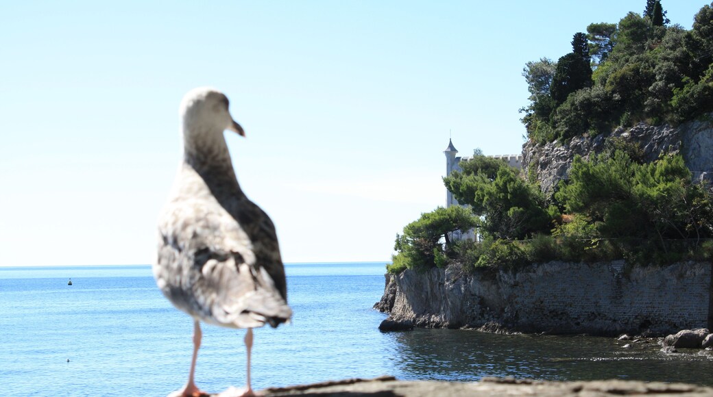 Castello di Miramare - Entrance Gate, Trieste (IT)