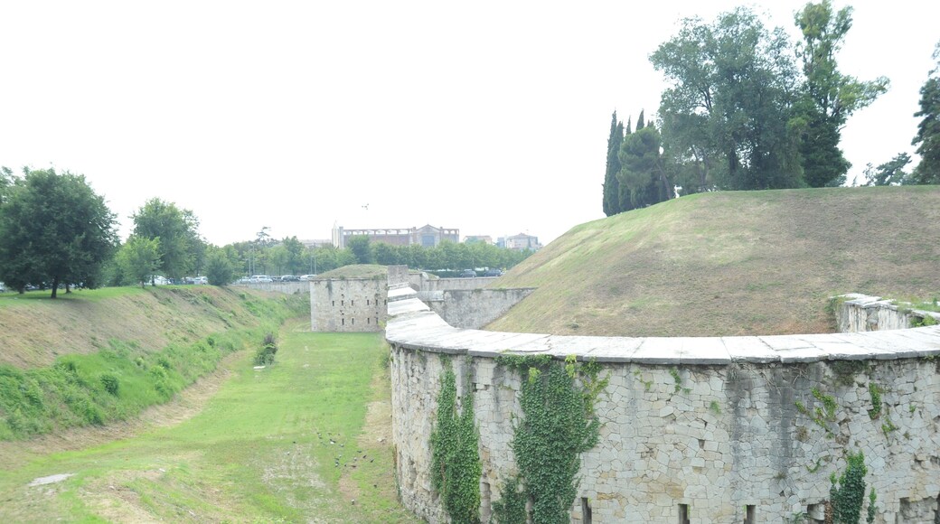 Defense Walls/Moat