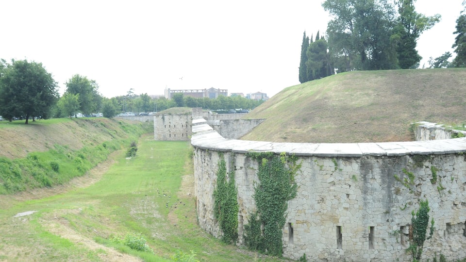 Defense Walls/Moat