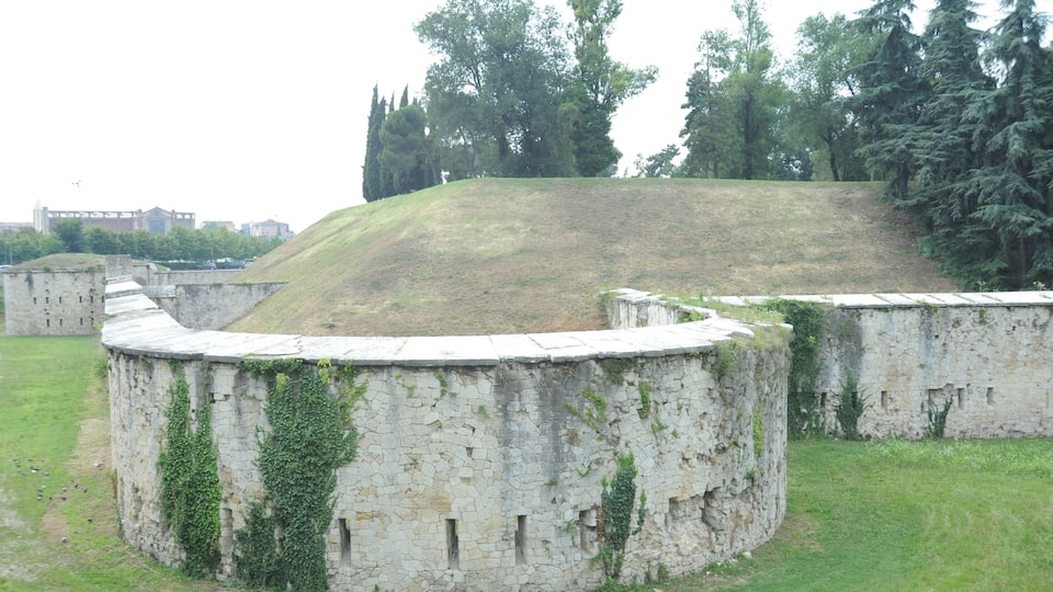 Defense Walls/Moat