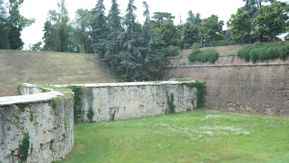 Defense Walls/Moat