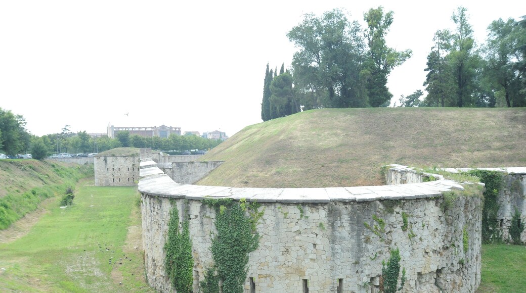 Defense Walls/Moat