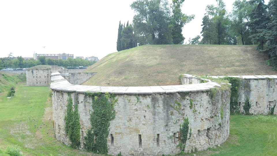 Defense Walls/Moat