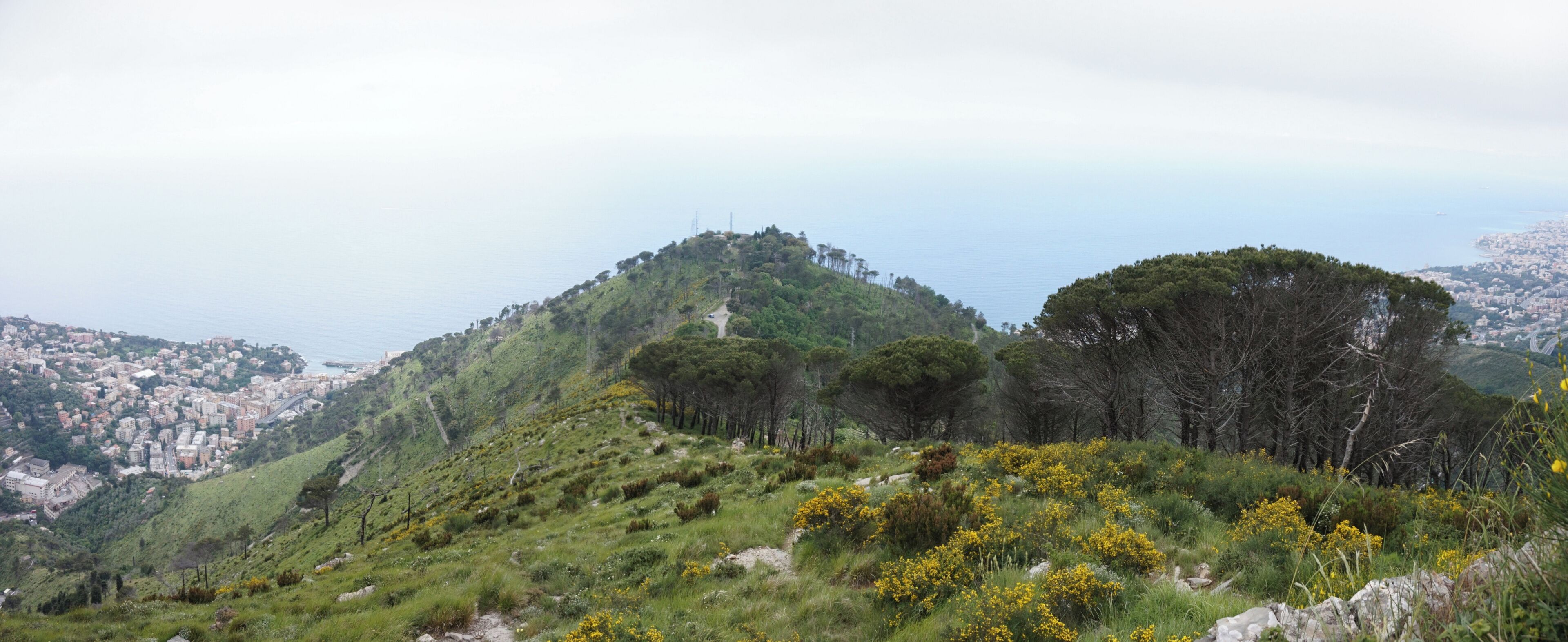 View of hill in Genoa.