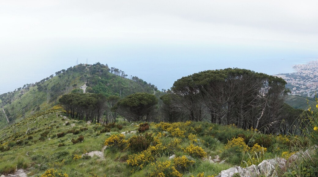 View of hill in Genoa.
