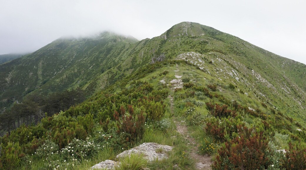 Hill view in Genoa, Italy.