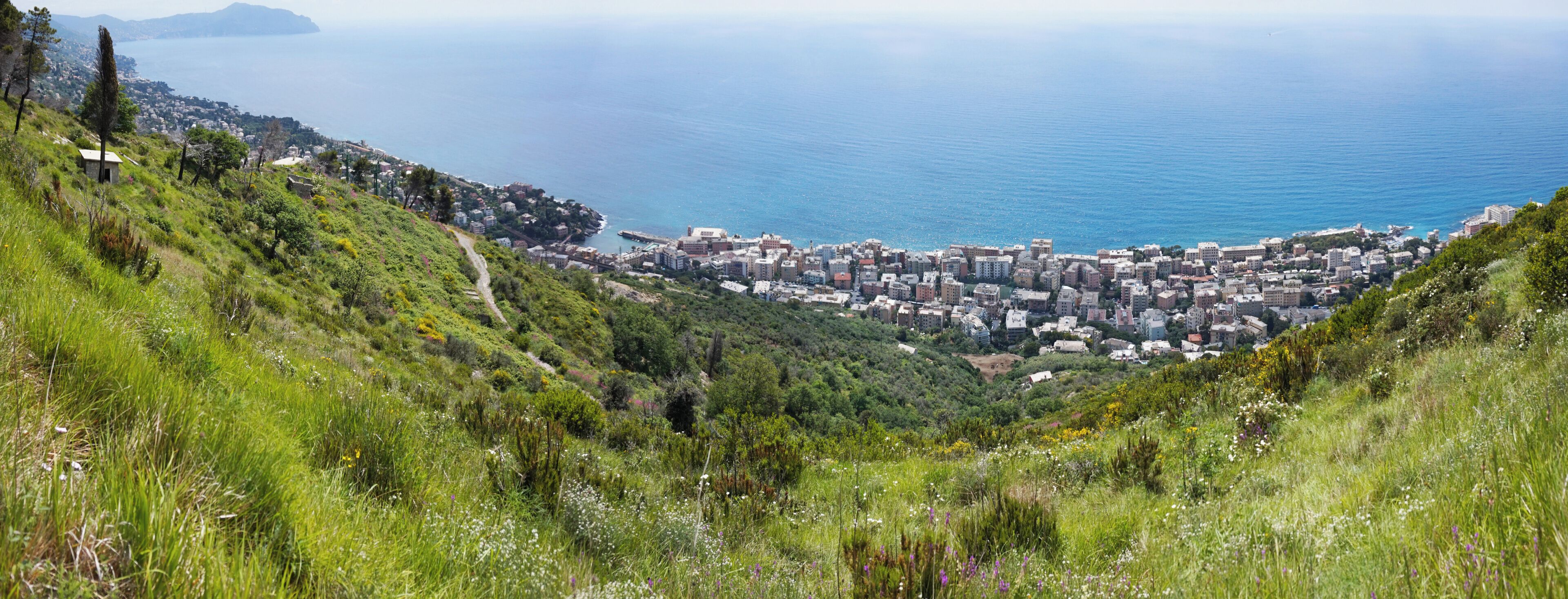 View from a hill in Genoa towards Nervi.