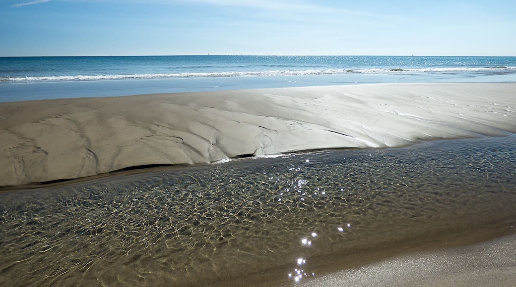 San Giorgio-Librino-San Giuseppe la Rena-Zia Lisa-Villaggio Sant'Agata