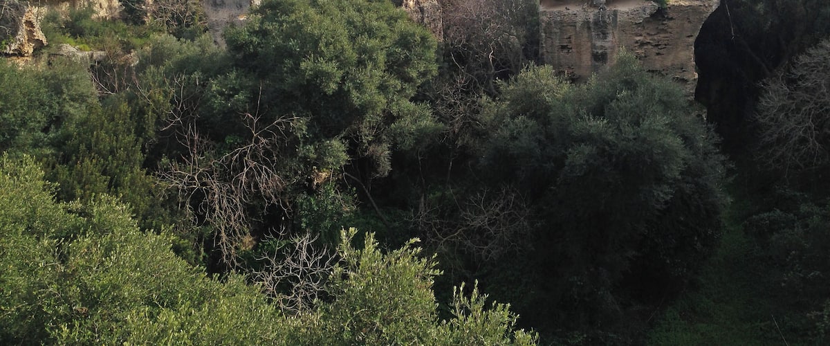 Latomia dei capppuccini