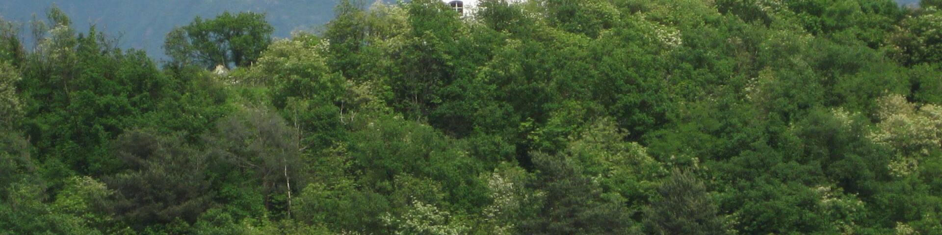 Die Heiligkreuzkirche auf der Gleif (auch einfach Gleifkirche genannt) in Eppan in Südtirol von Westen gesehen, im Hintergrund der Schlern
