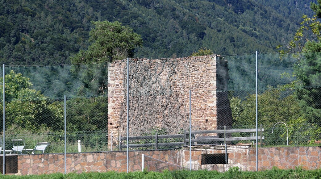 Turmruine in der Nähe des Stroblhofes in Eppan