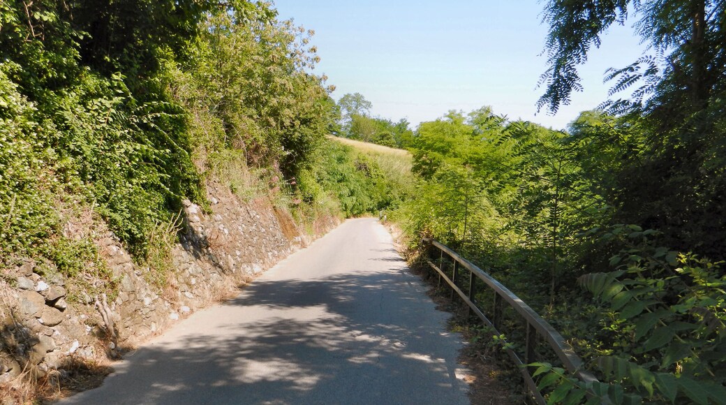 Genova, un tratto di strada costruita sul percorso della ex autoguidovia della Guardia, con l'originaria ringhiera in ferro