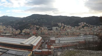 Genoa