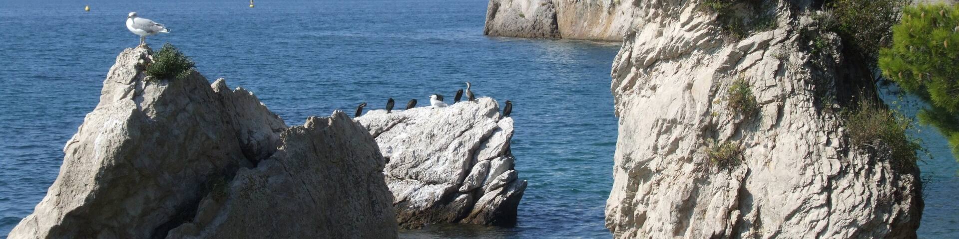 A coastal landscape with rocky formations, a lighthouse, and a seagull perched on a rock.