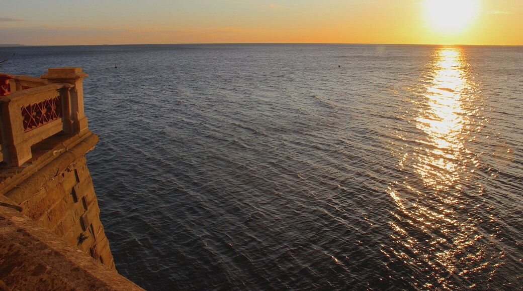 The authorisation for taking photos of this object was provided by the World Wide Fund for Nature Italy.