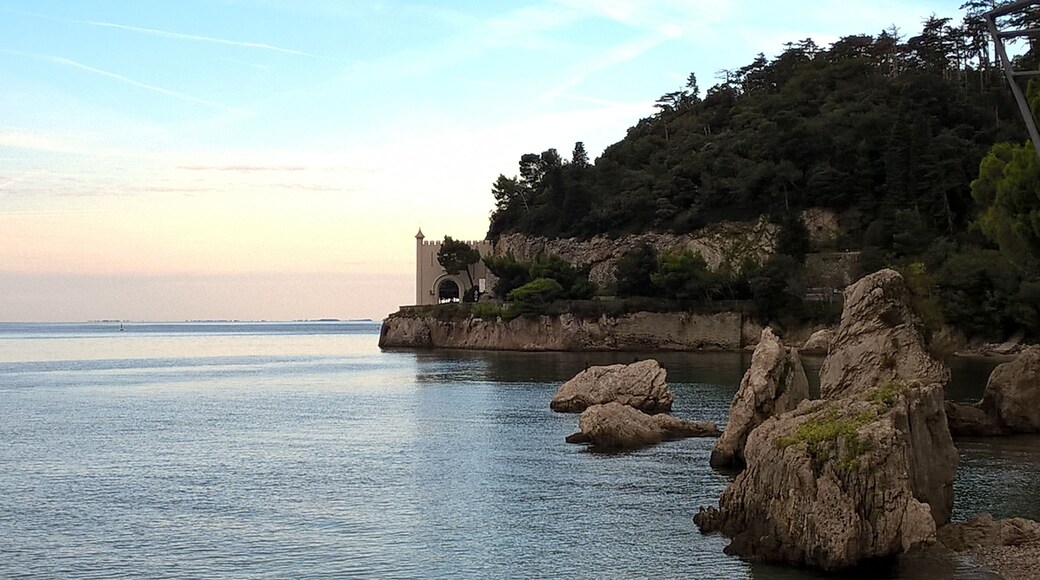 The authorisation for taking photos of this object was provided by the World Wide Fund for Nature Italy.