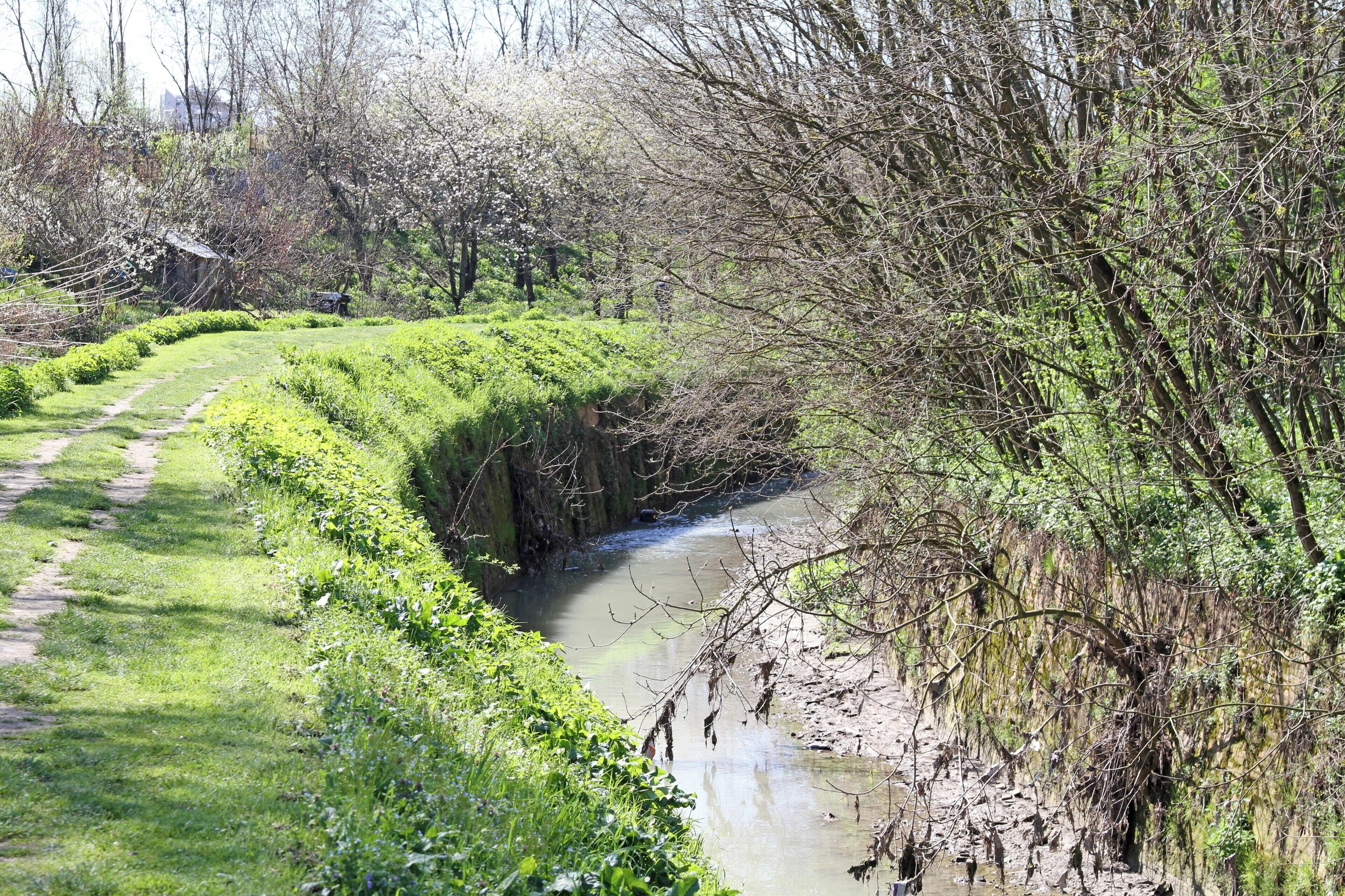 Canale Navile: restara e Canalazzo tra Sostegno del Battiferro e Sostegno del Torreggiani