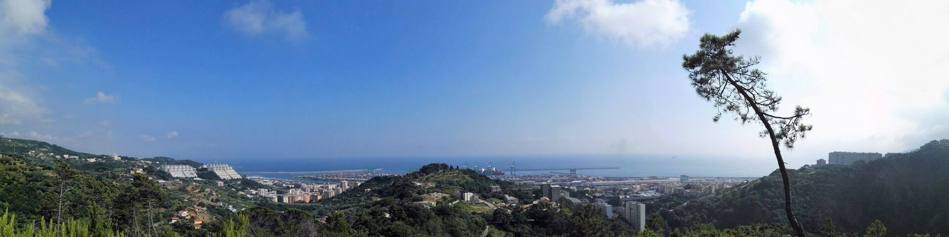 A coastal cityscape with a prominent bridge, dense greenery, and a clear blue sky.