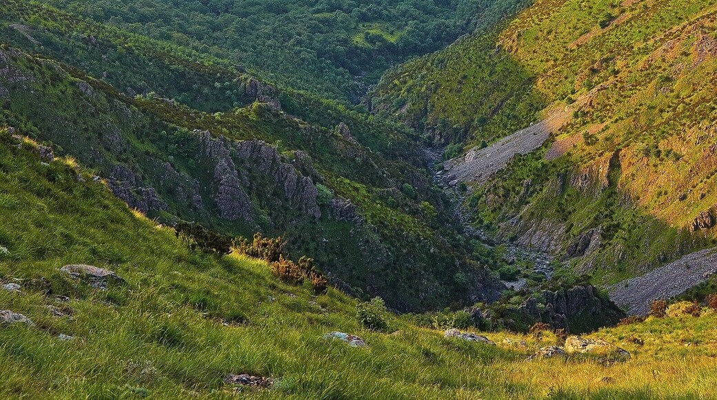 Valle del torrente Cerusa