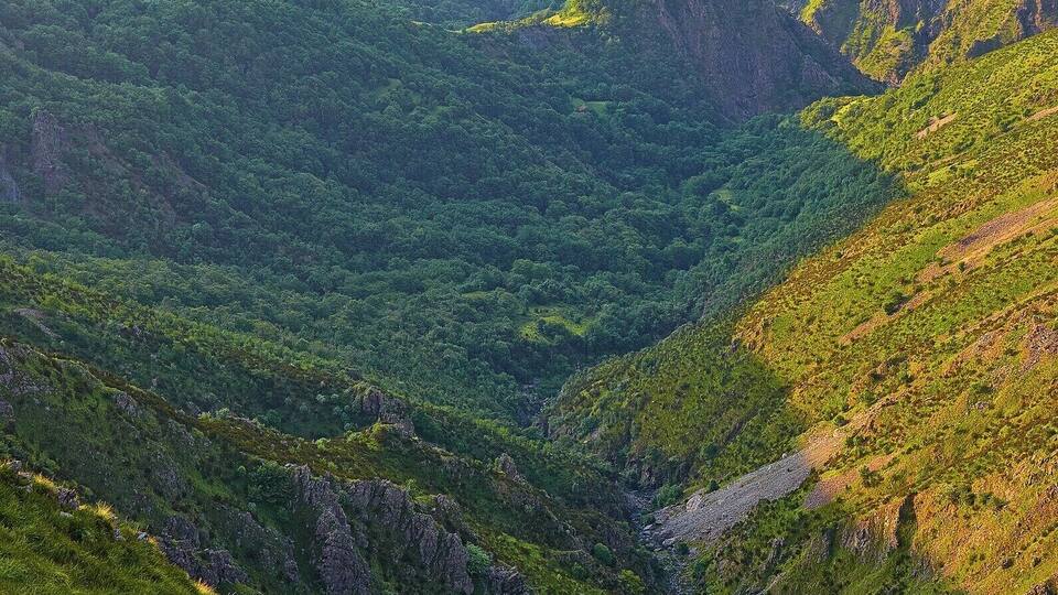 Valle del torrente Cerusa