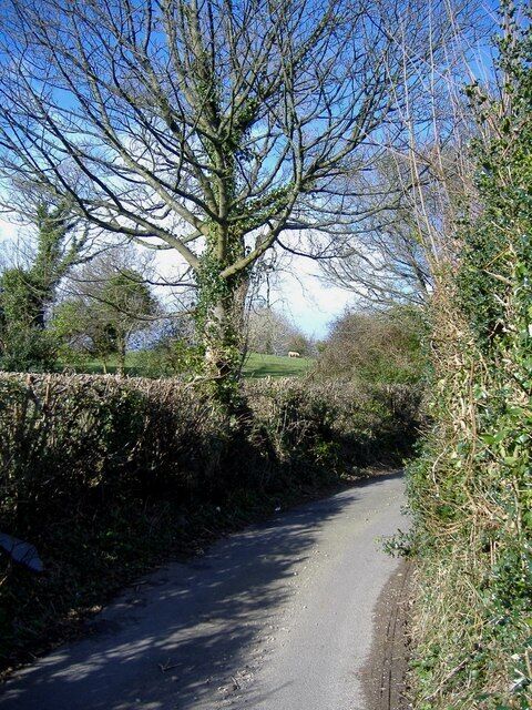 Lane, near Pentwyn farm