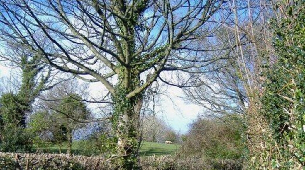 Lane, near Pentwyn farm
